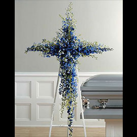 Delphinium Cross