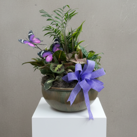 XL Ceramic Dish garden