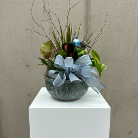 Blue Bird Dish Garden