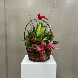 Cardinal Dish Garden Basket