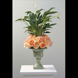 Peace Lily And Roses