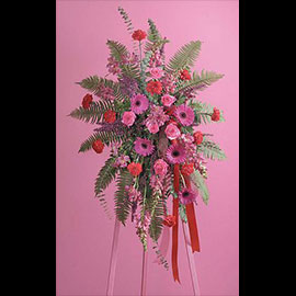 Spray In Pink And Red