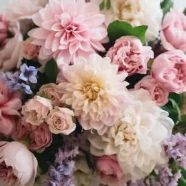 Designer choice Blush