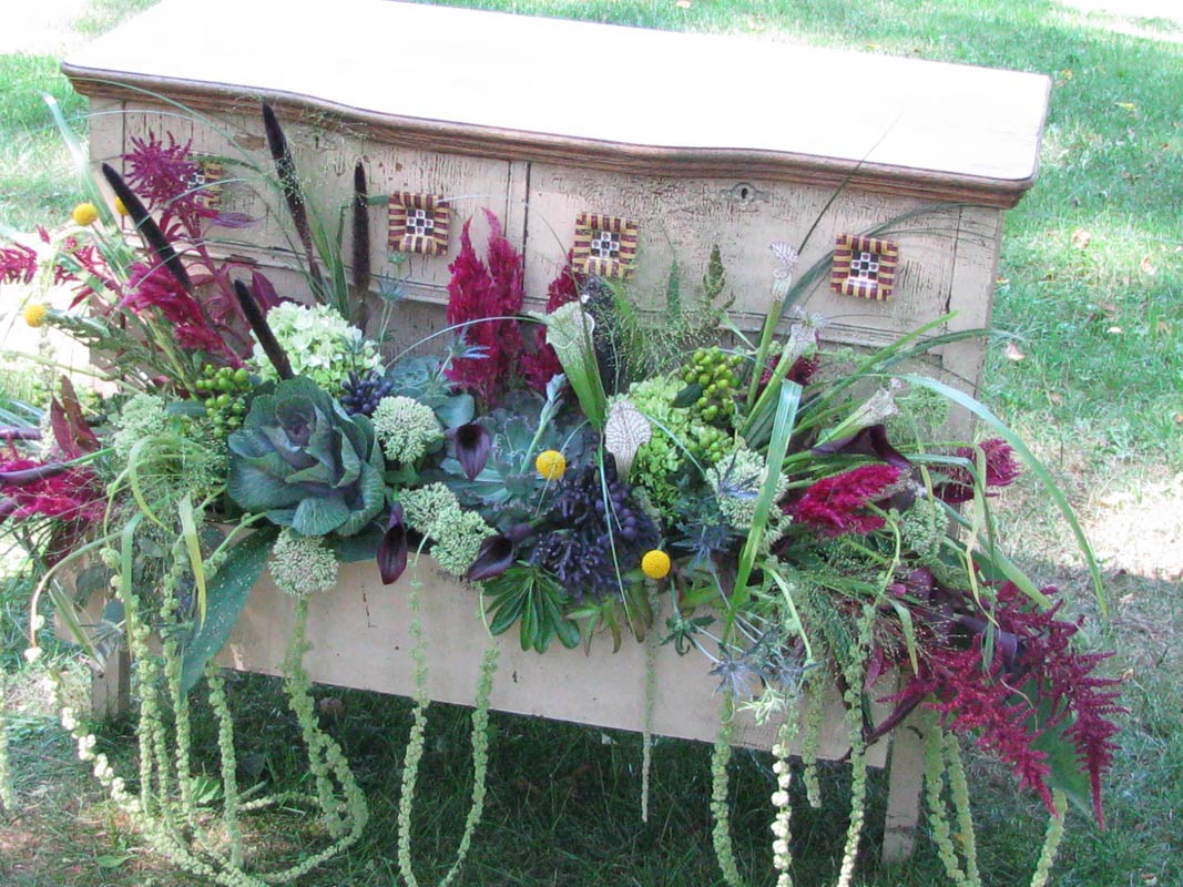 Frog Pond – drawers 1 – slide 24