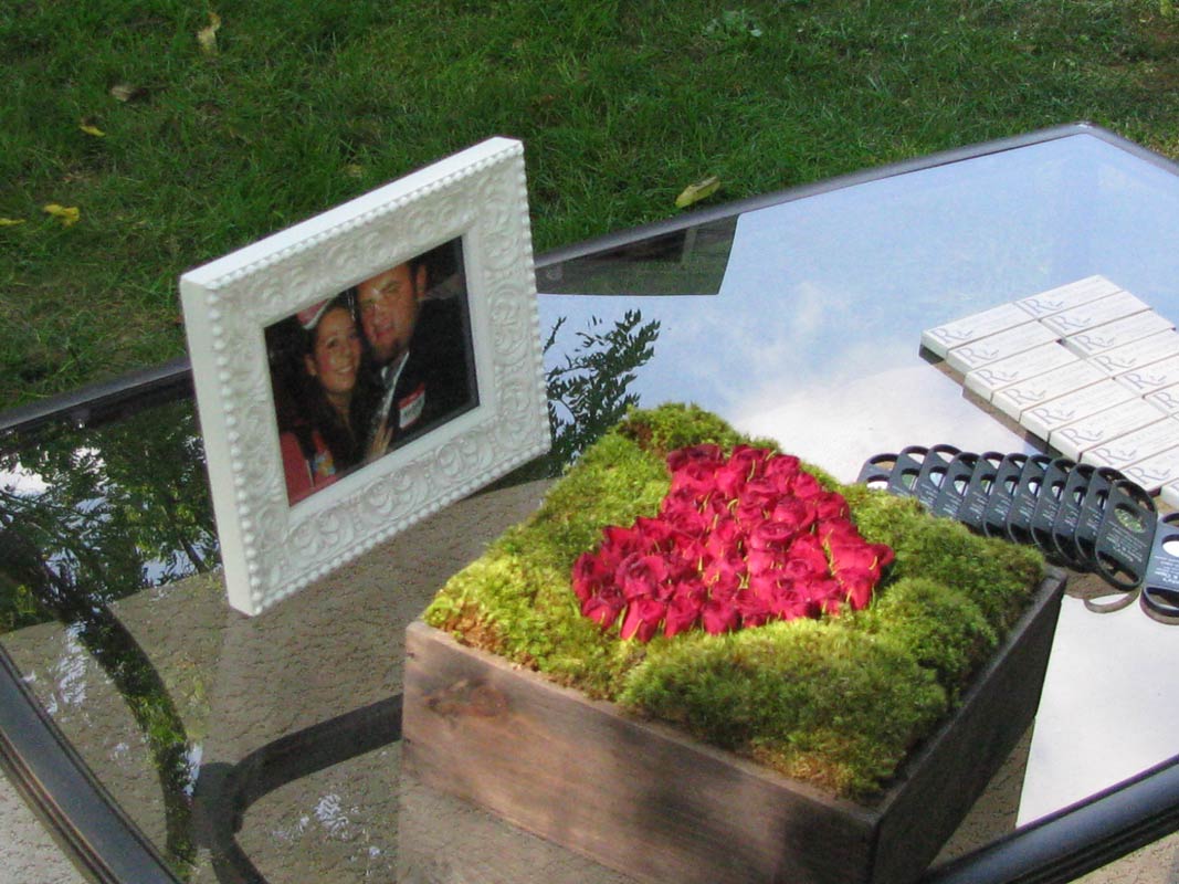 Frog Pond – tabletop – slide 26