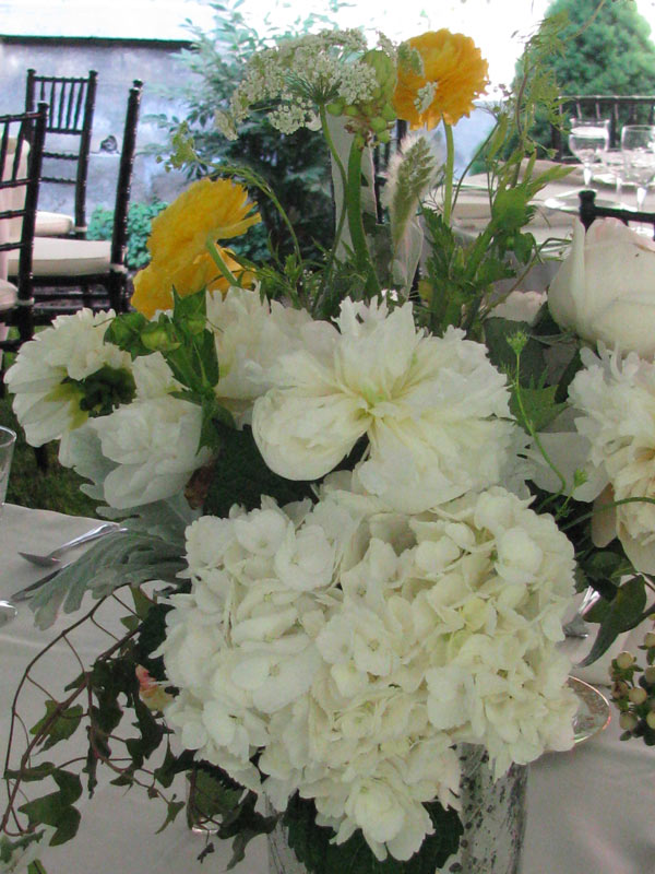Frog Pond – flower arrangement 3 – slide 35