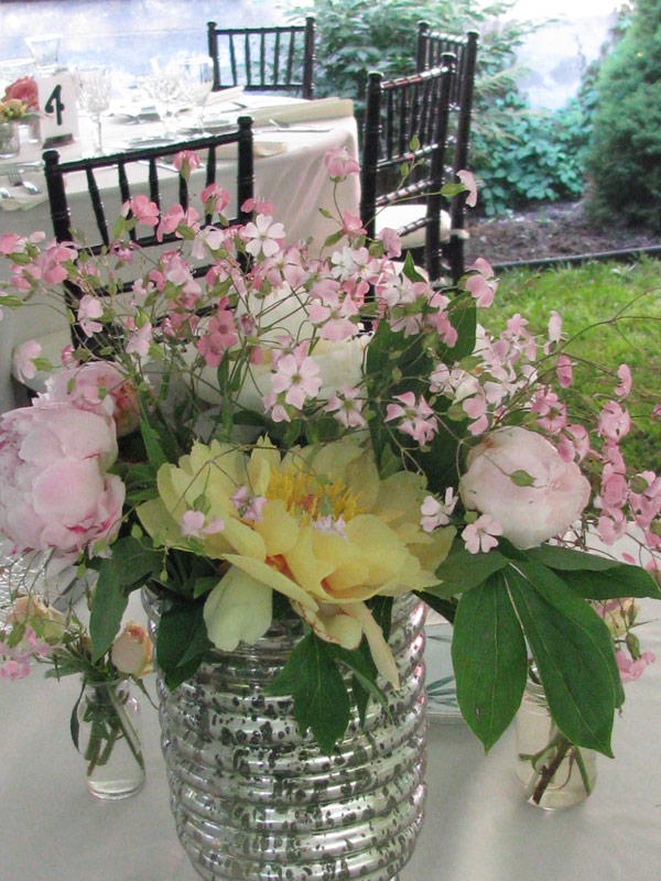 Frog Pond – centerpieces 3 – slide 5