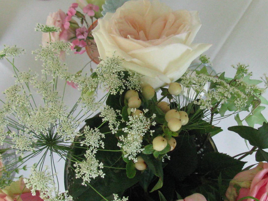 Frog Pond – flowers – slide 7