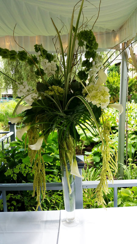 Mirbeau – plant – slide 21