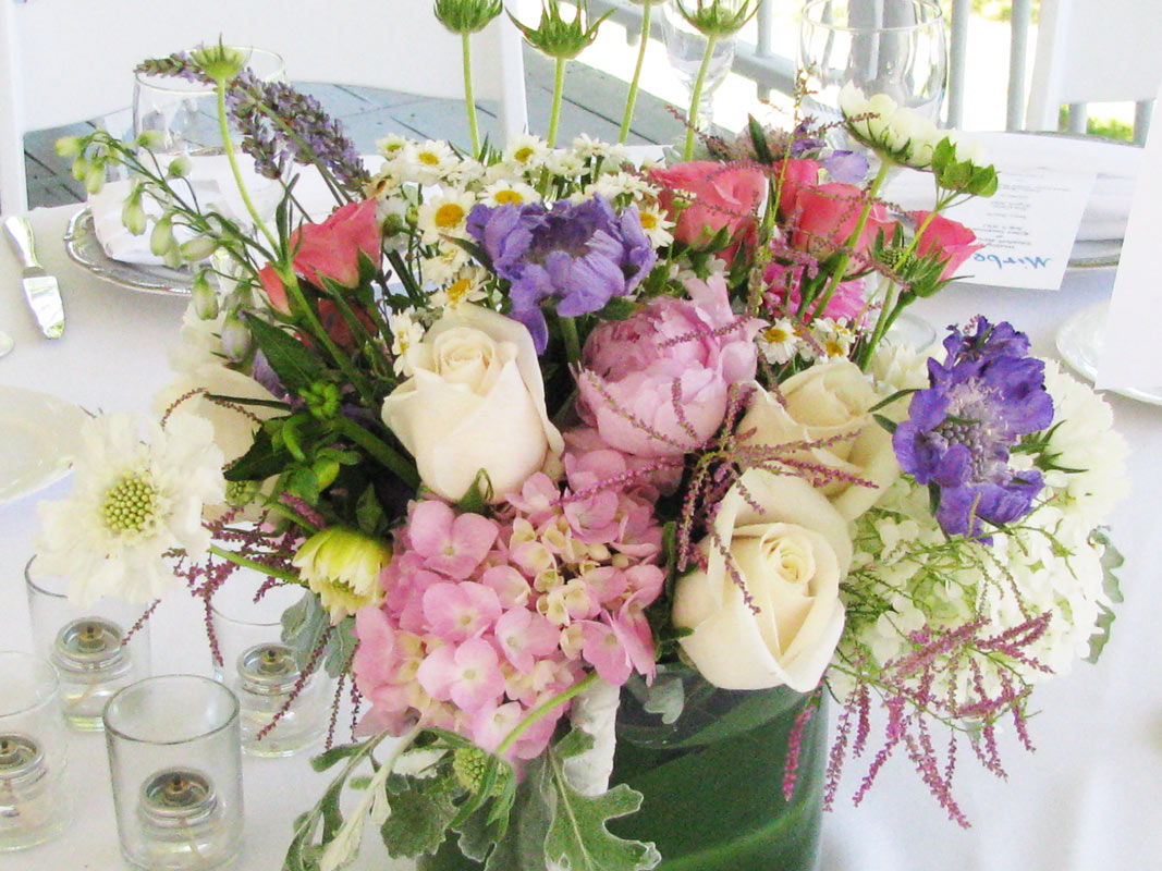 Mirbeau – flowers – slide 4