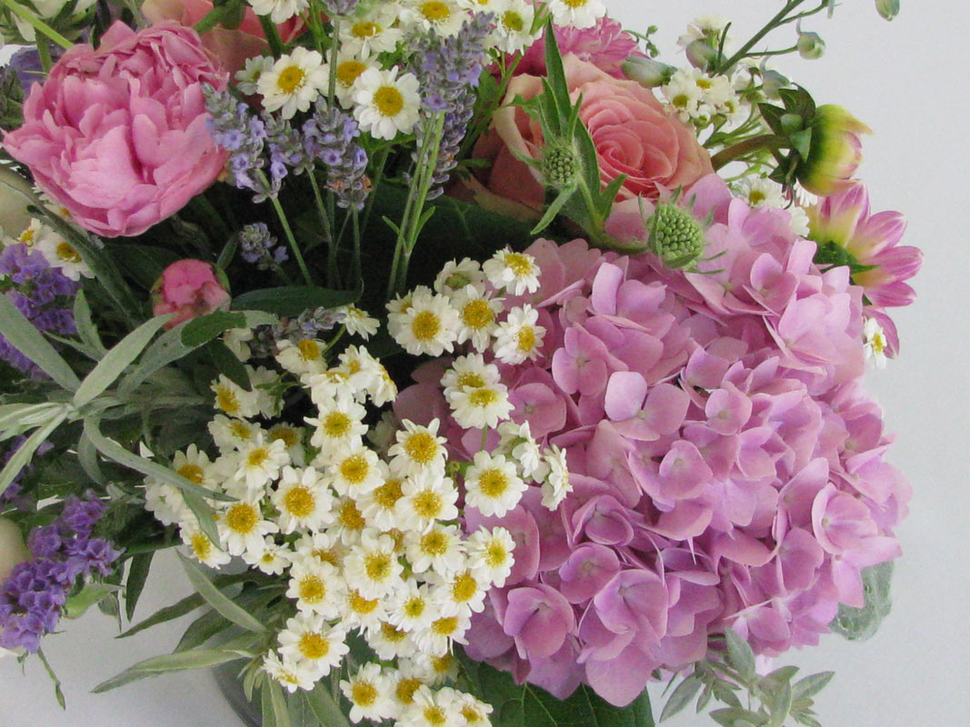 Mirbeau – flowers 1 – slide 5