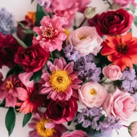 Designer choice Mixed Berry Shades