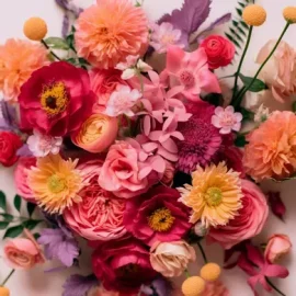 Designer choice Pinks